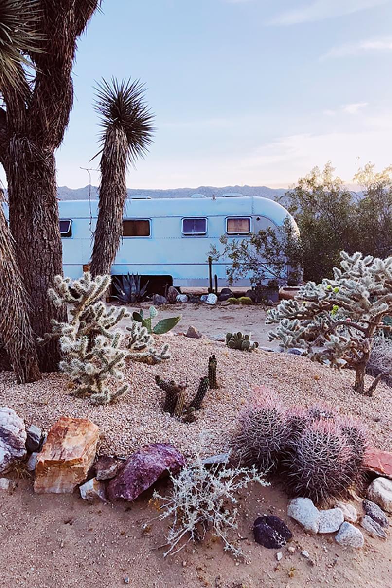 The Big Blue, Joshua Tree