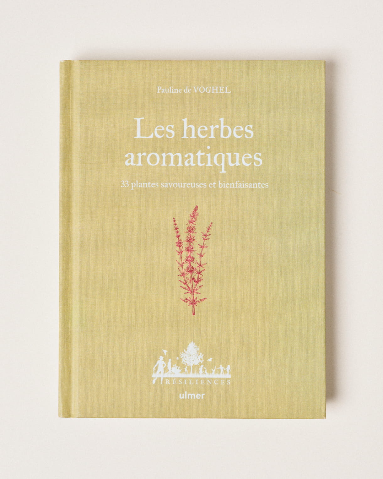 Herbes aromatiques
