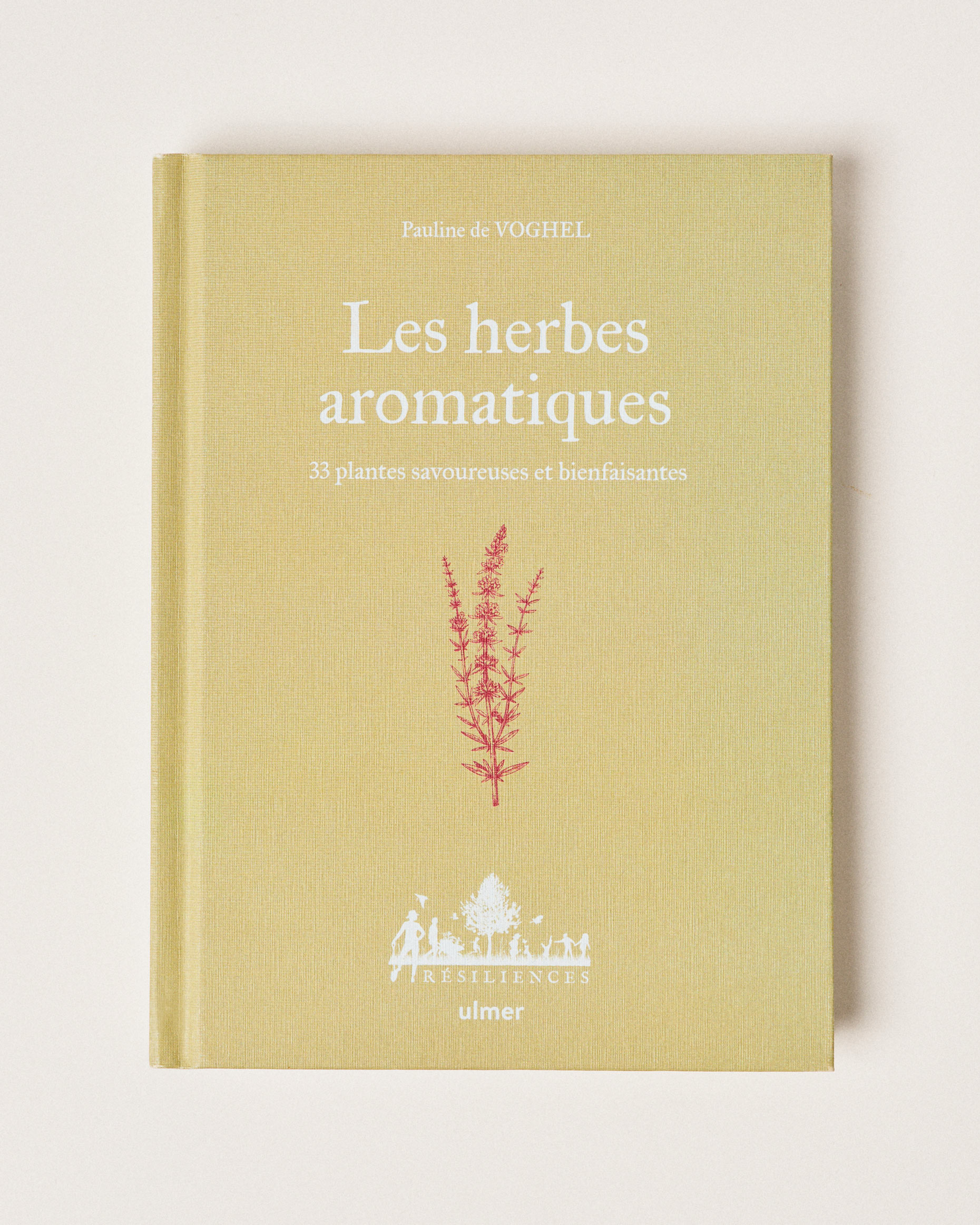 Herbes aromatiques
