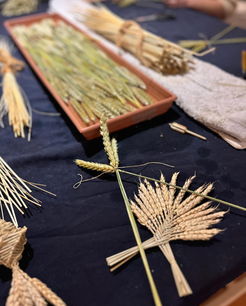 #.three_images_title_cta|5.image_title_cta_image_title_cta_3.image_1.image_1.alt#